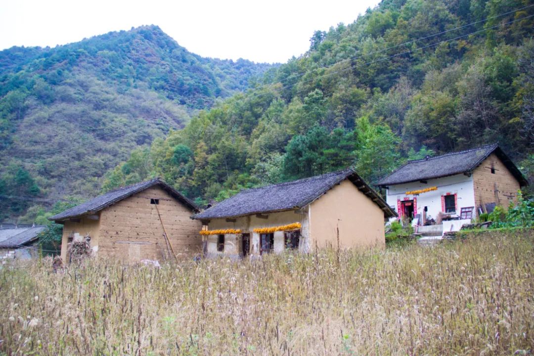 岁月静好时代都已经发展到现在了秦岭山村的模样依旧这般古老