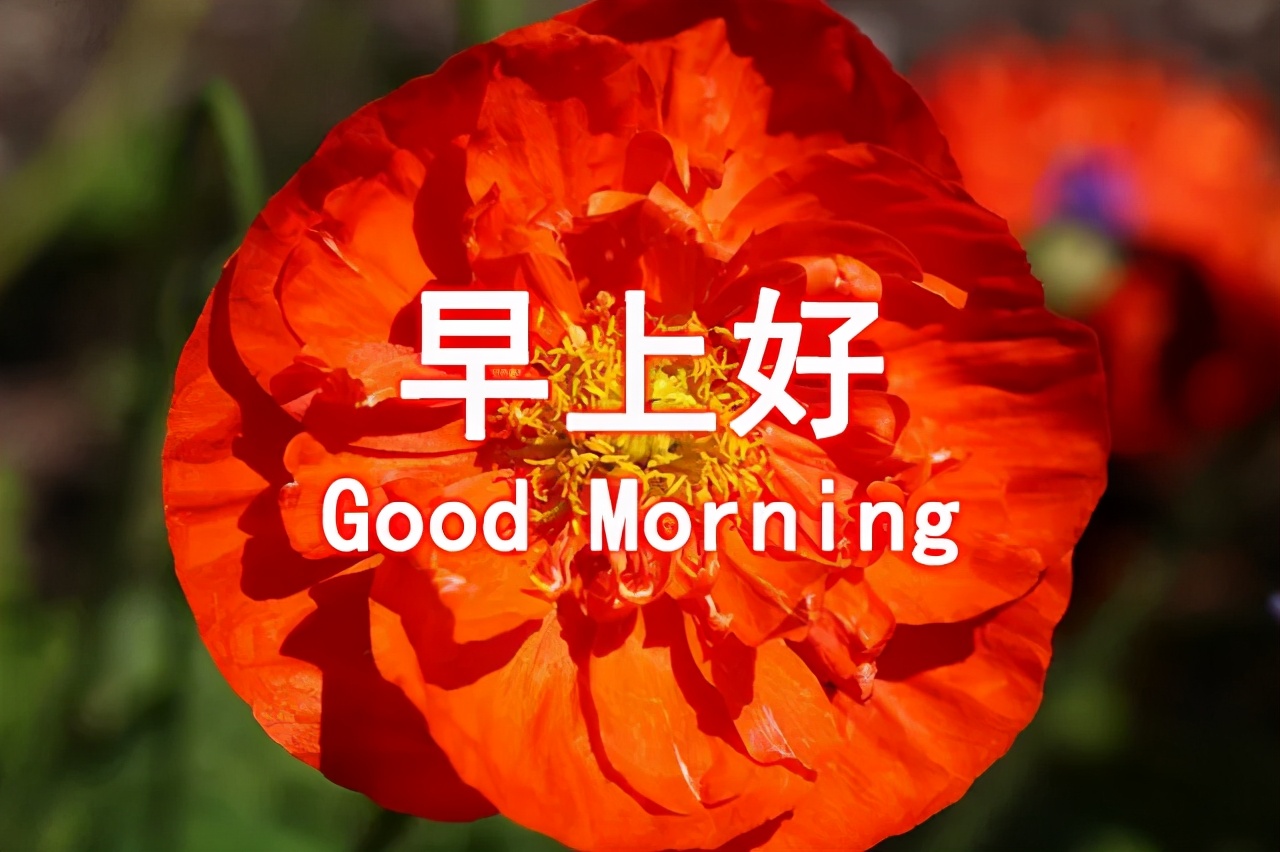 5,每天的太阳都是崭新的,不要辜负了美好的晨光.