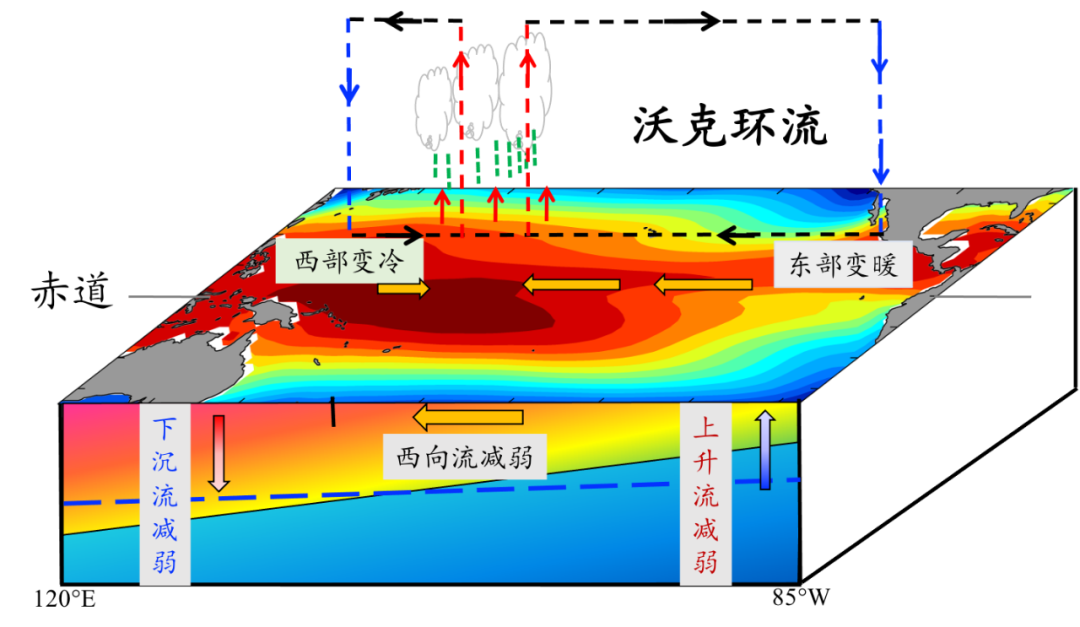 拉尼娜|今年将是“双拉尼娜年”？何为拉尼娜？为什么它可以影响全球气候呢？