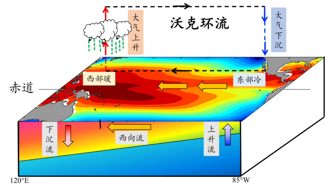 拉尼娜|今年将是“双拉尼娜年”？何为拉尼娜？为什么它可以影响全球气候呢？