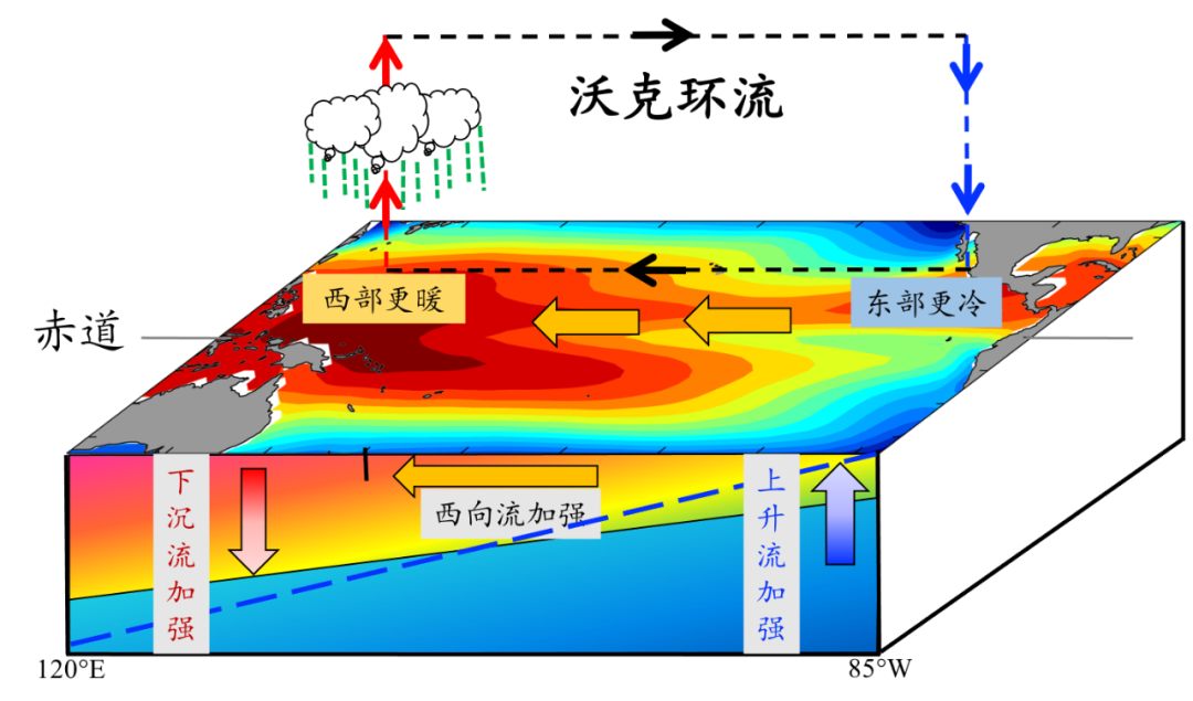 拉尼娜|今年将是“双拉尼娜年”？何为拉尼娜？为什么它可以影响全球气候呢？