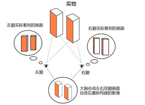 全息|3D眼镜是如何“欺骗”大脑的？