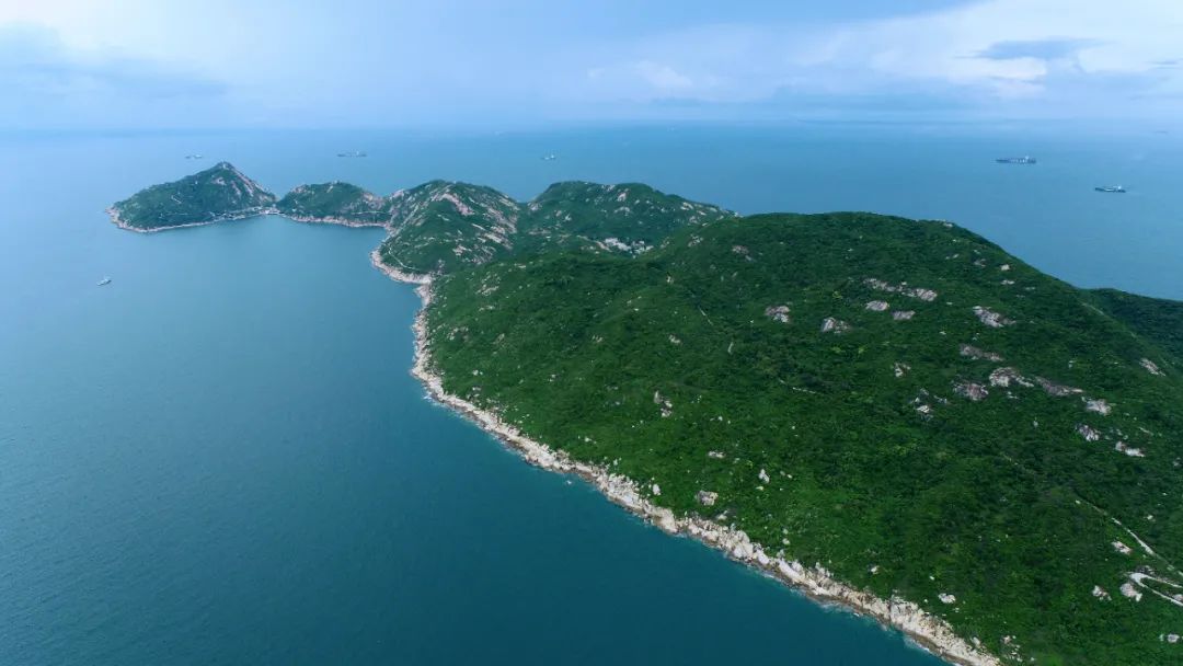 担杆岛省级自然保护区分布于珠海市淇澳岛,担杆岛,二洲岛及相关海域