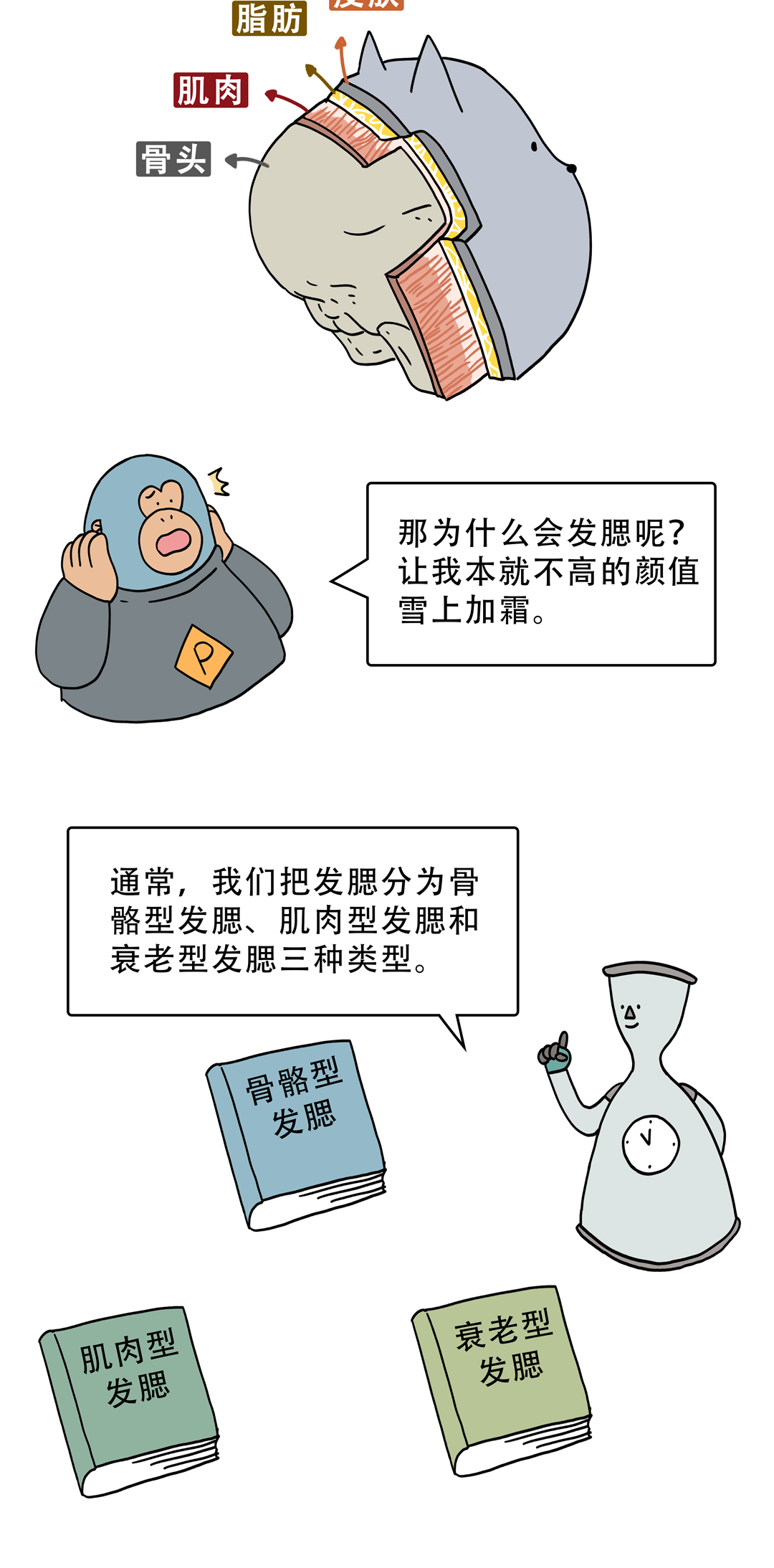 |为什么年龄越大脸越方？