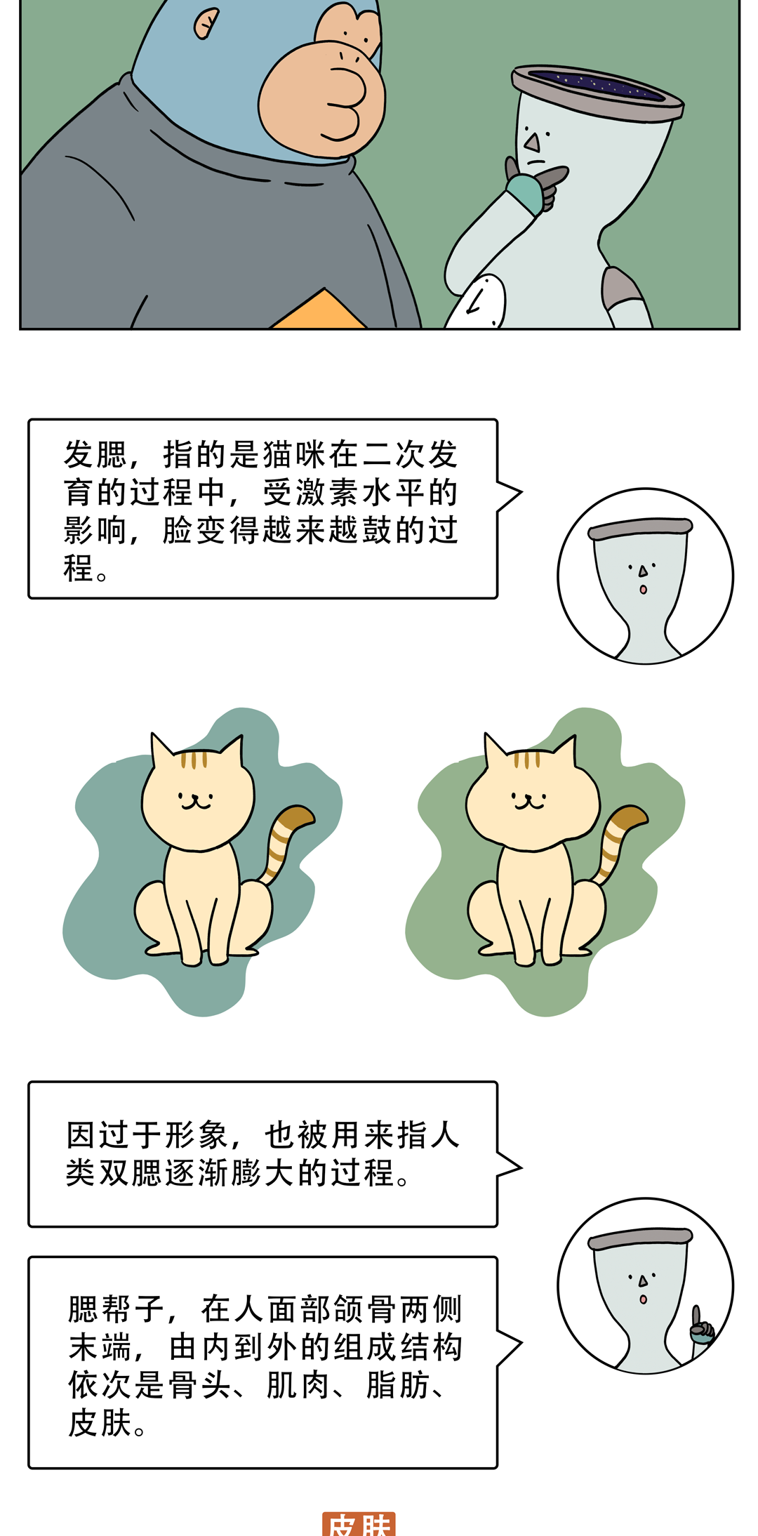 |为什么年龄越大脸越方？