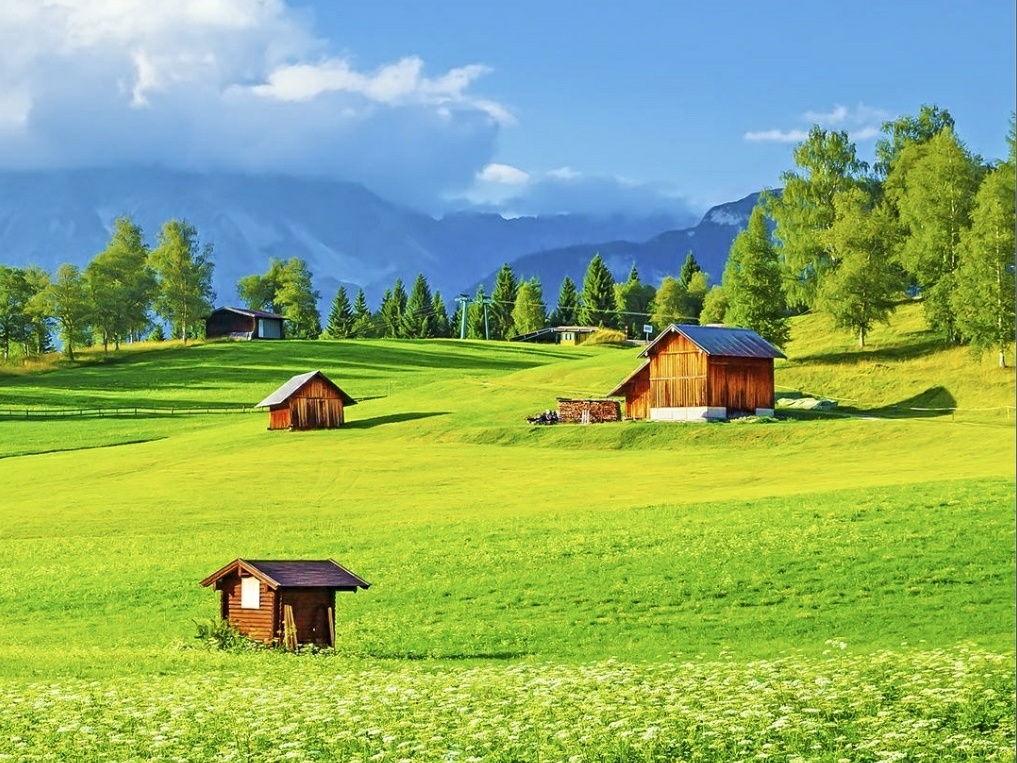 水彩风景美丽的阳光牧场