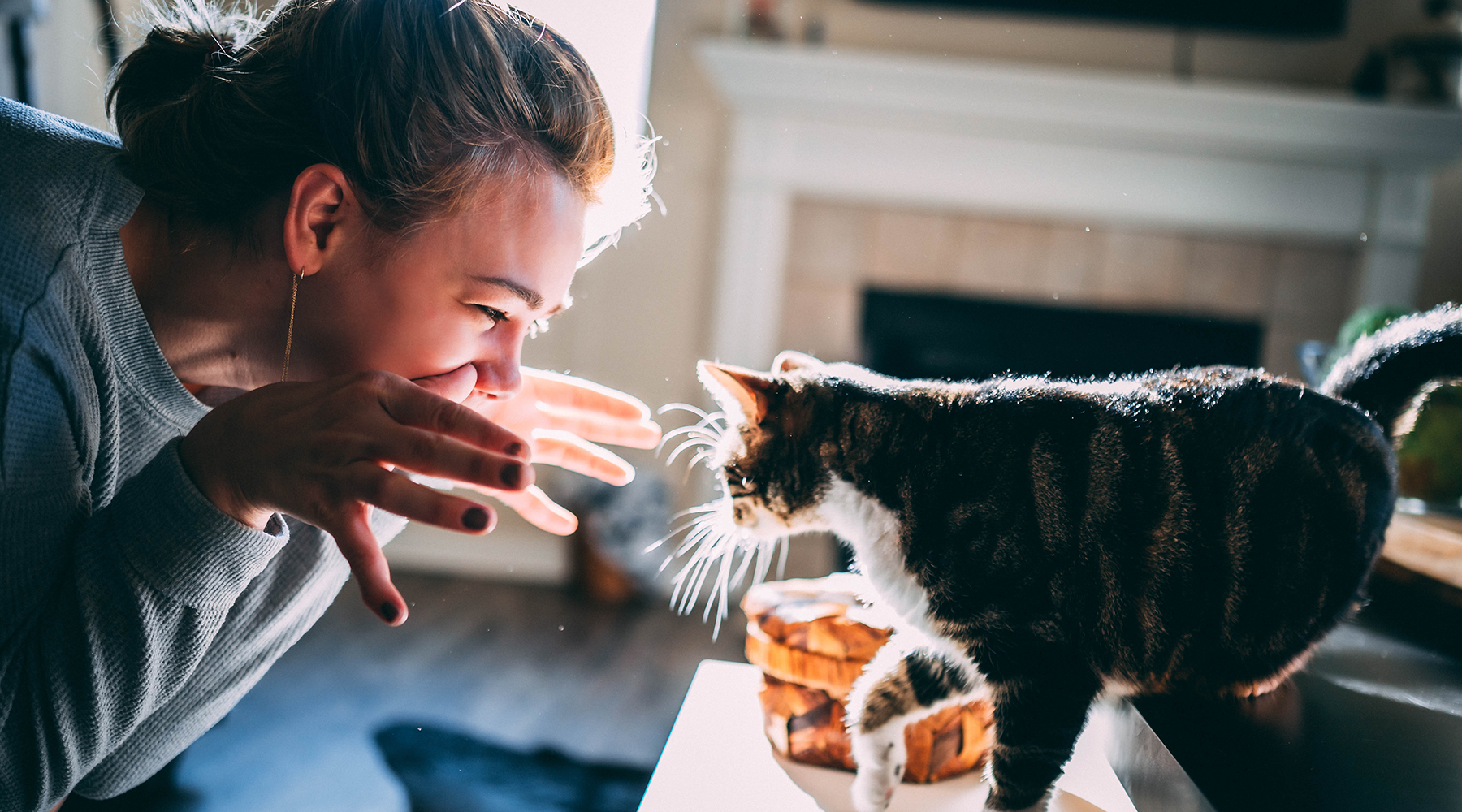 老鼠|猫为什么爱吃老鼠，吃了不会生病吗？生了病会不会传染给人？