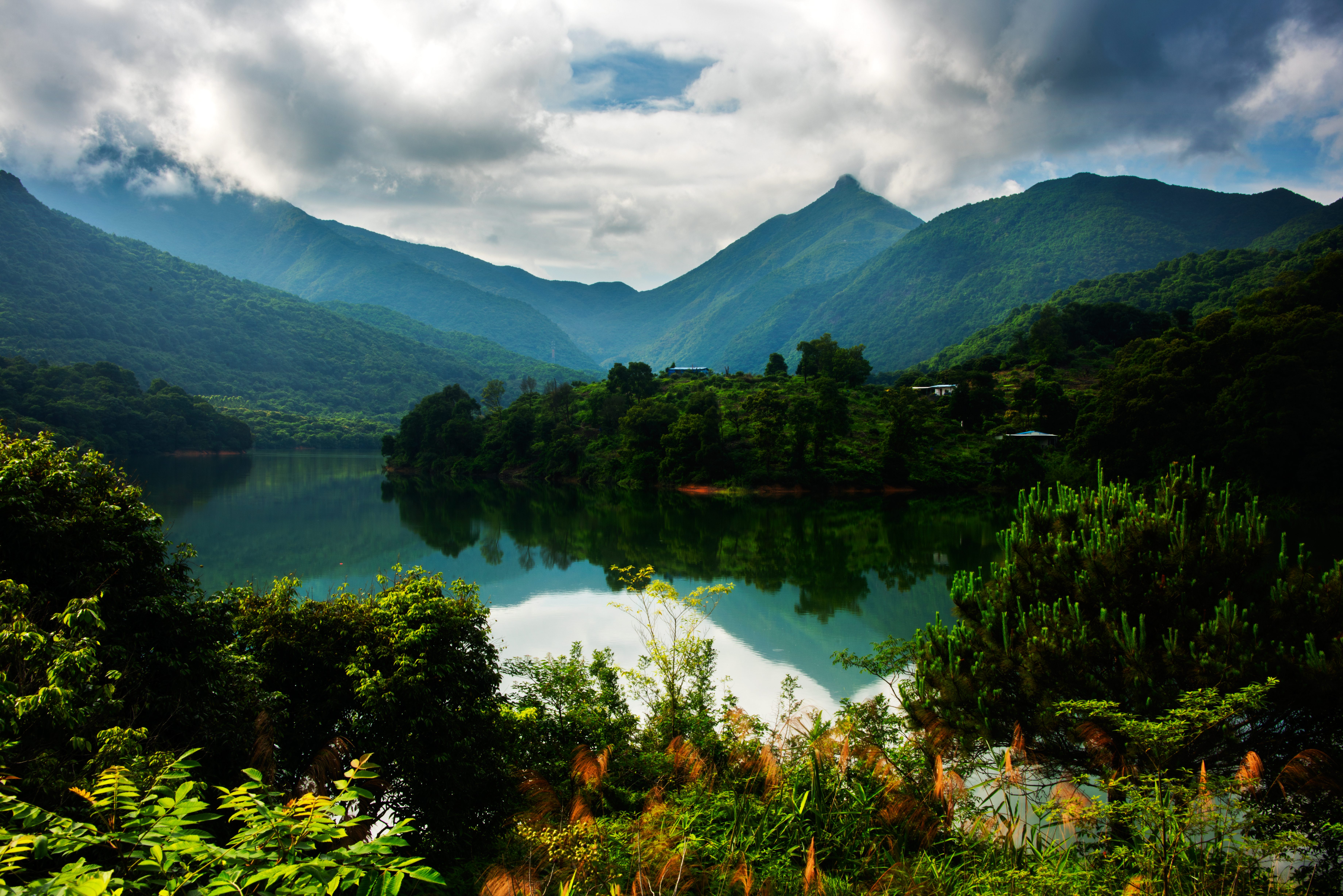 森林保险助力碳达峰碳中和广东首单林业碳汇指数保险落地