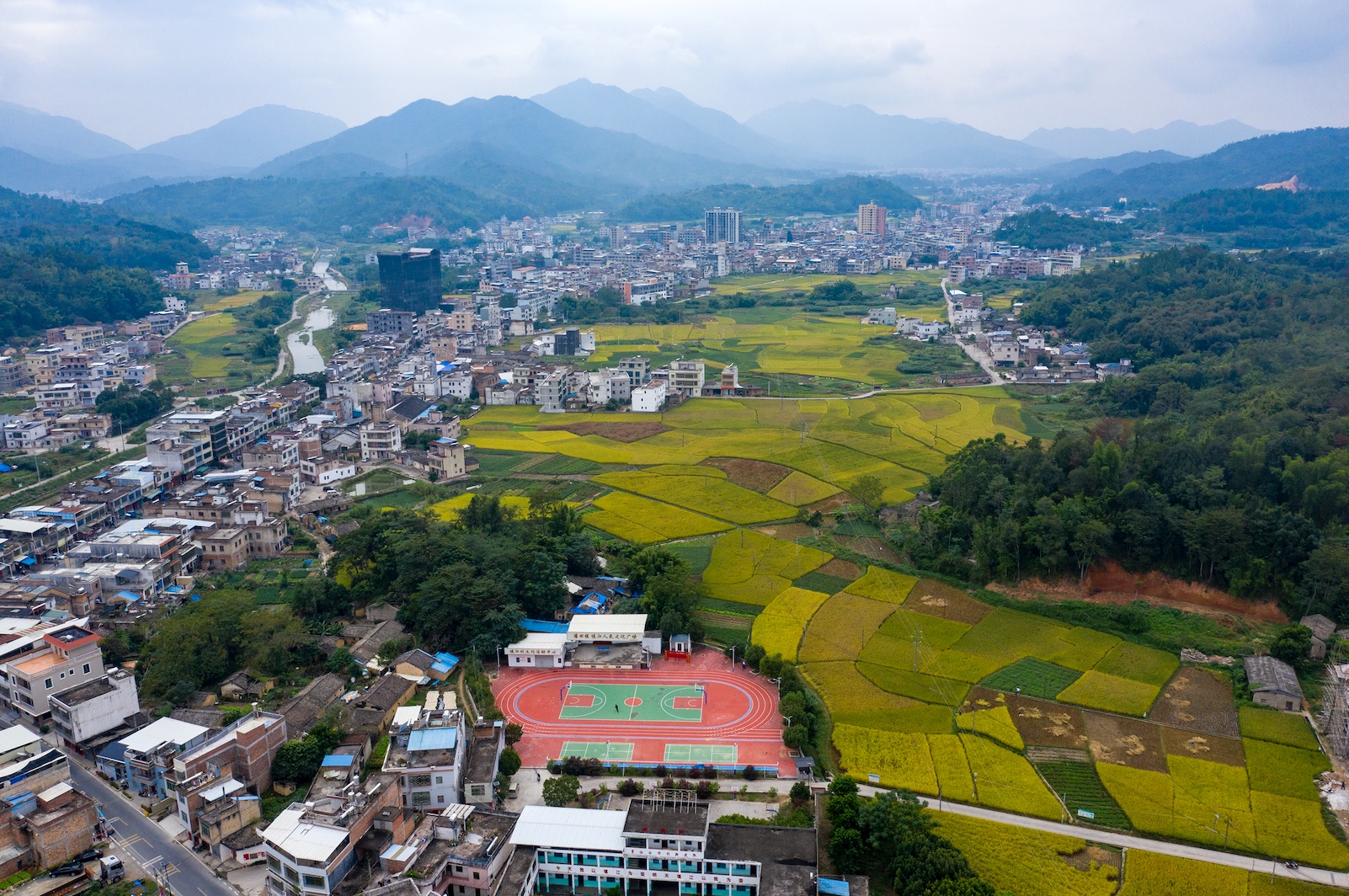 "广州(梅州)初心优品农业发展有限公司总经理徐幸生告诉记者,土地流转
