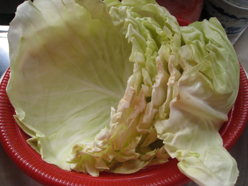 东北人的大头菜南方人的包菜却是西方人的穷人的医生菜