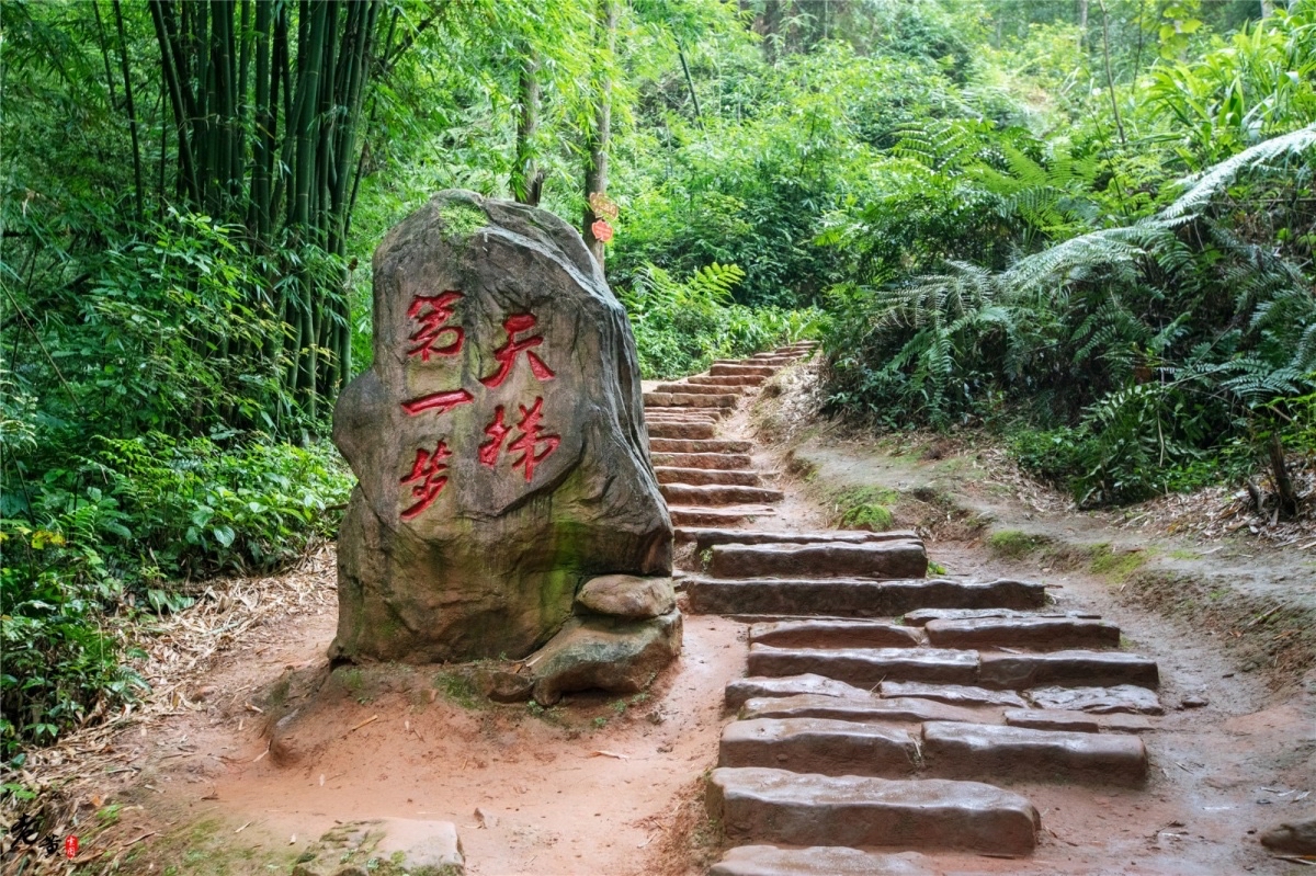 重庆江津爱情天梯景区6208级台阶背后故事让年轻人更相信婚姻