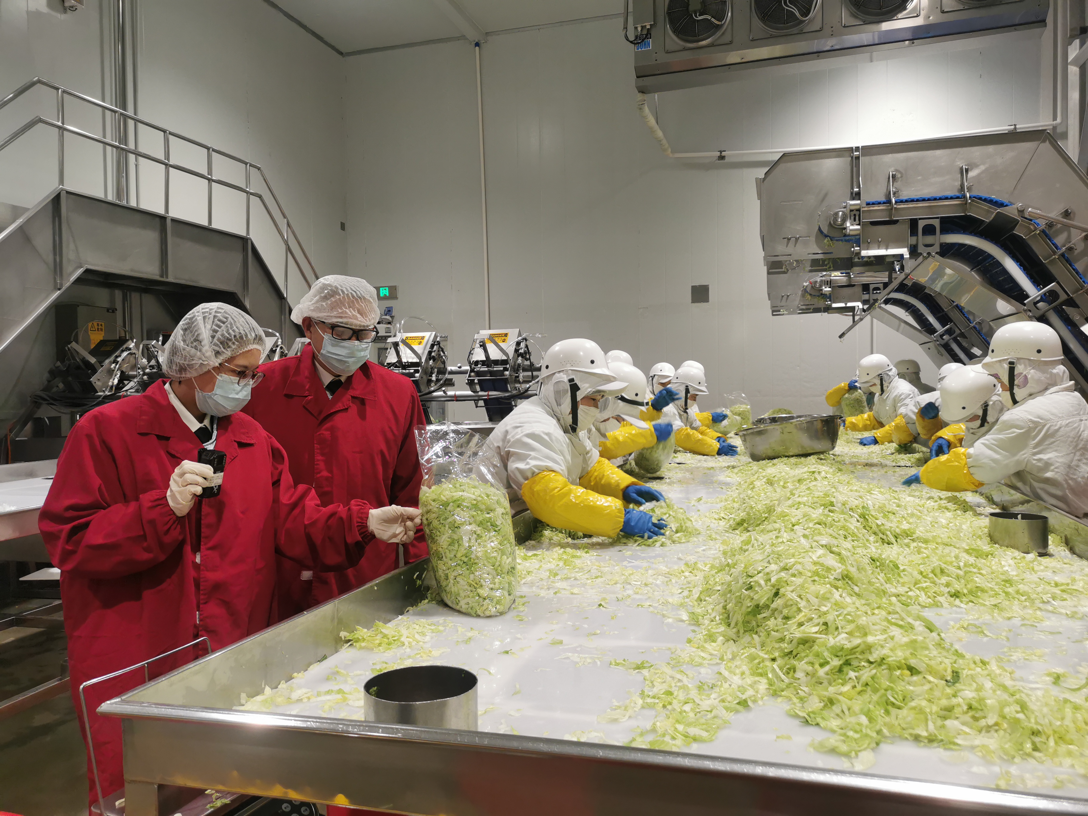 1032吨即食鲜切蔬菜从萝岗海关出关