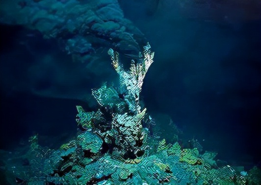 海底热泉打破自然法则瀑布倒着流鱼虾在400高温口横行霸道