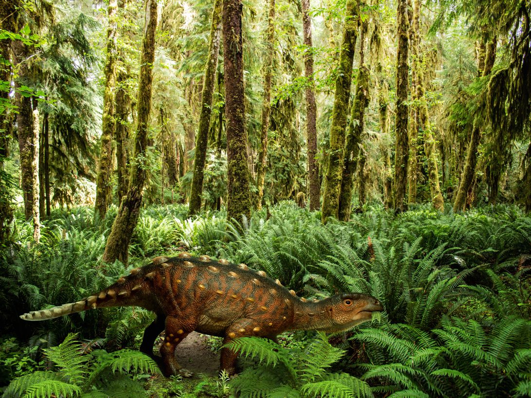 2021新恐龙白垩纪小恐龙尾巴上却暗藏杀机