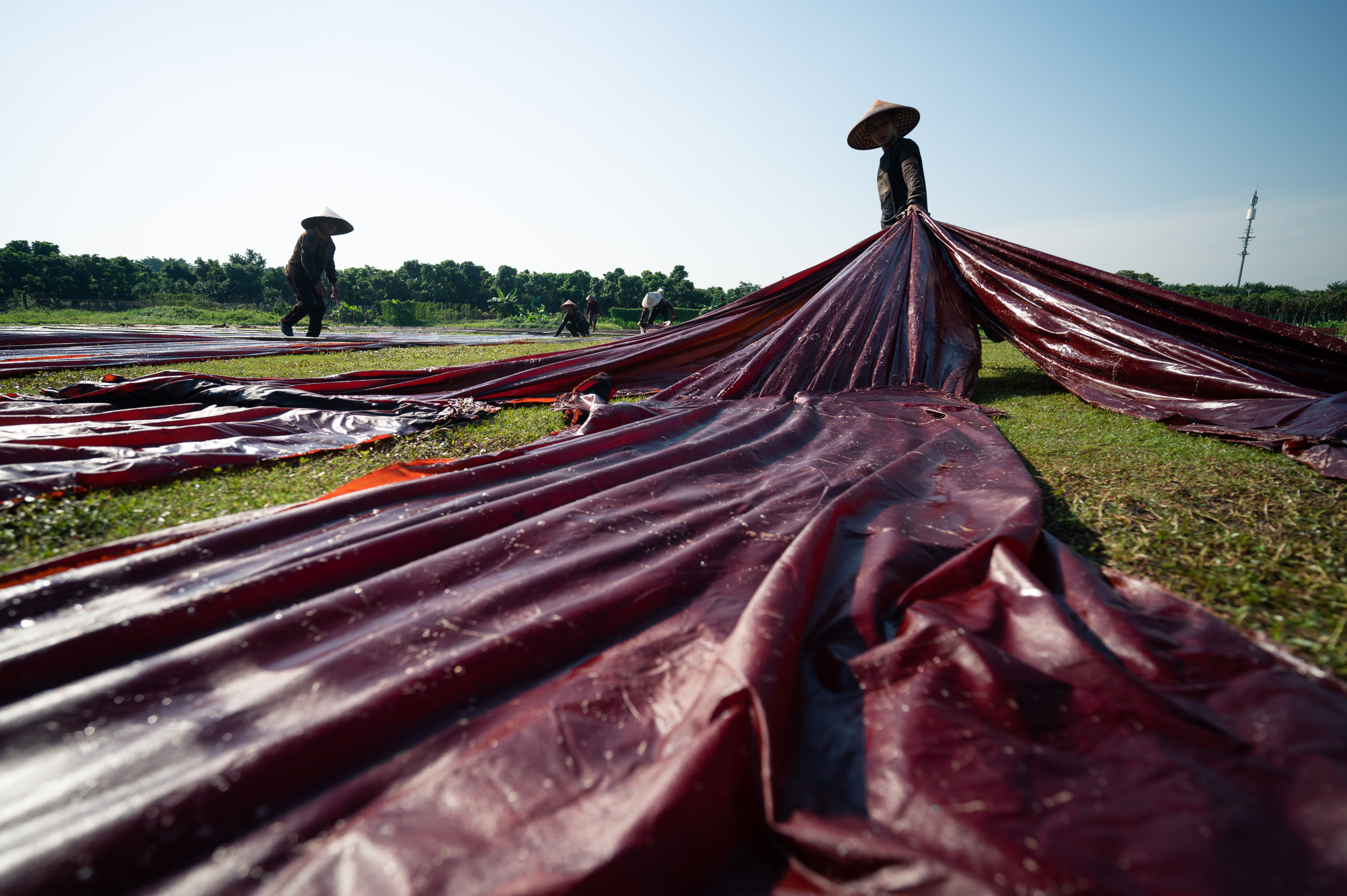 也入选了非遗,但香云纱还是没能避免困境,这与香云纱本身的制作工艺