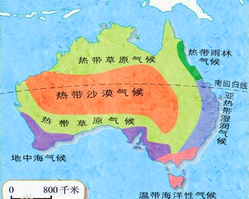 可怕澳大利亚又现森林野火茂盛的桉树为何喜欢引火烧身