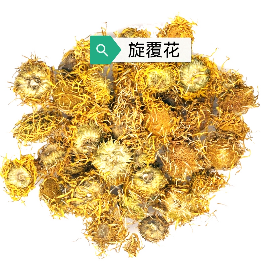 中药古今研究旋覆花