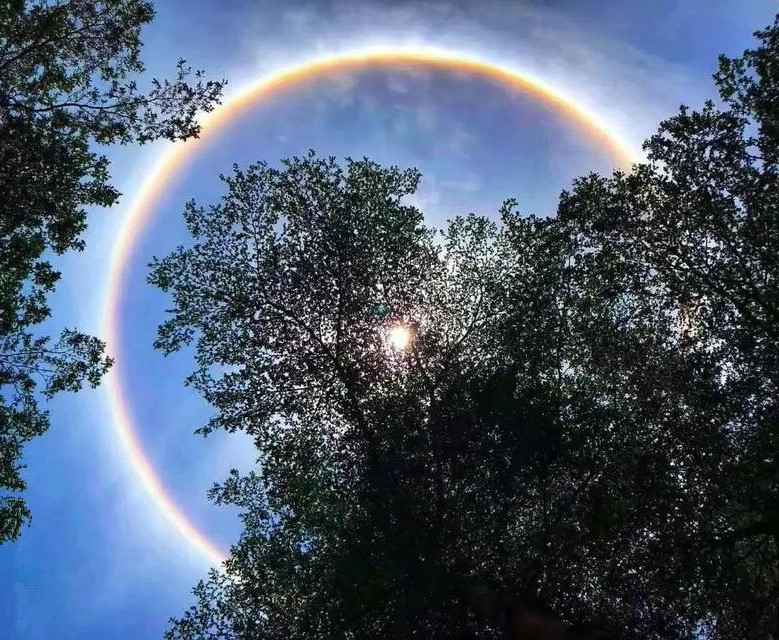 最常见的幻日出现在22°晕的两边.