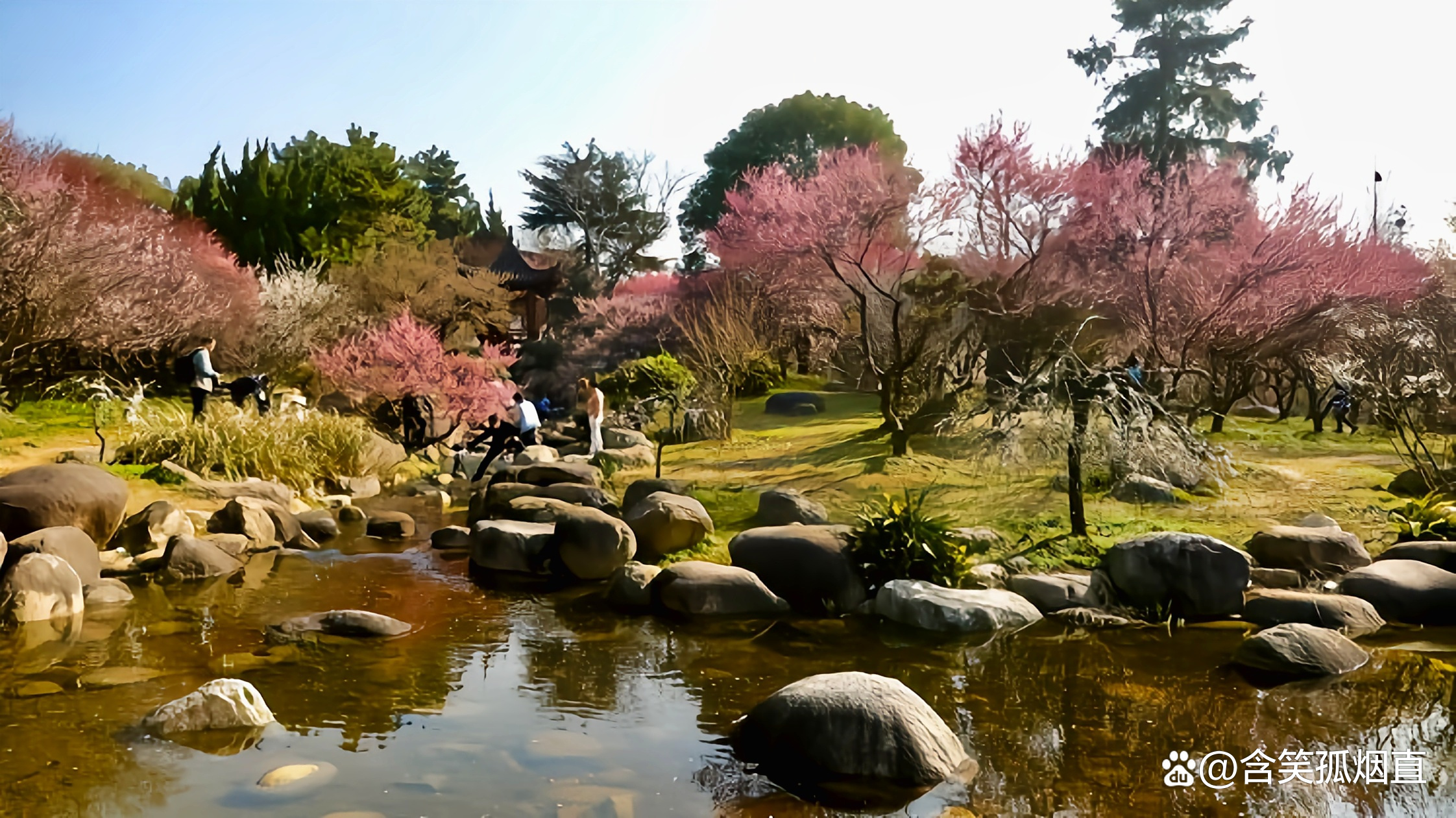 东湖梅花园景区图片图片