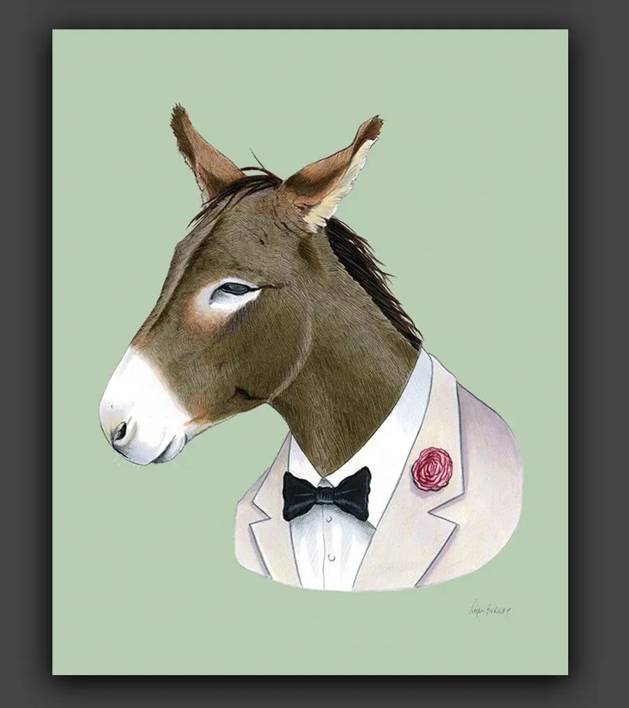 艺术可爱又有创意动物们的肖像画