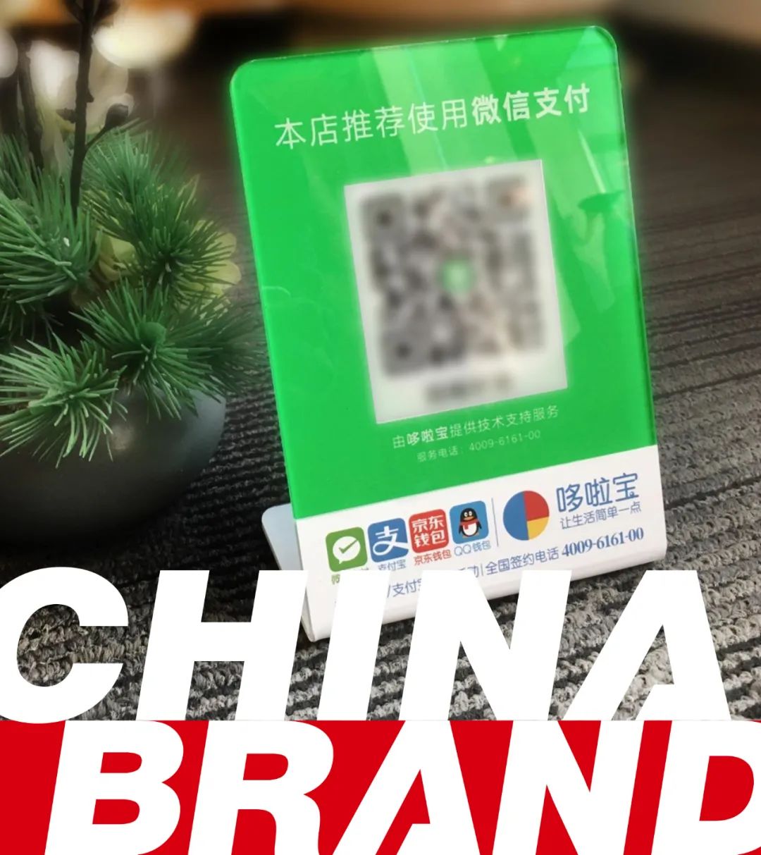 个人经营收款码来了别怕先免费3年