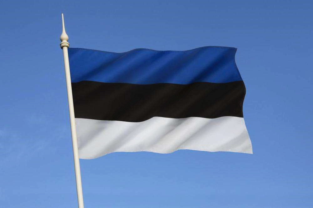 爱沙尼亚苏联时期国旗图片