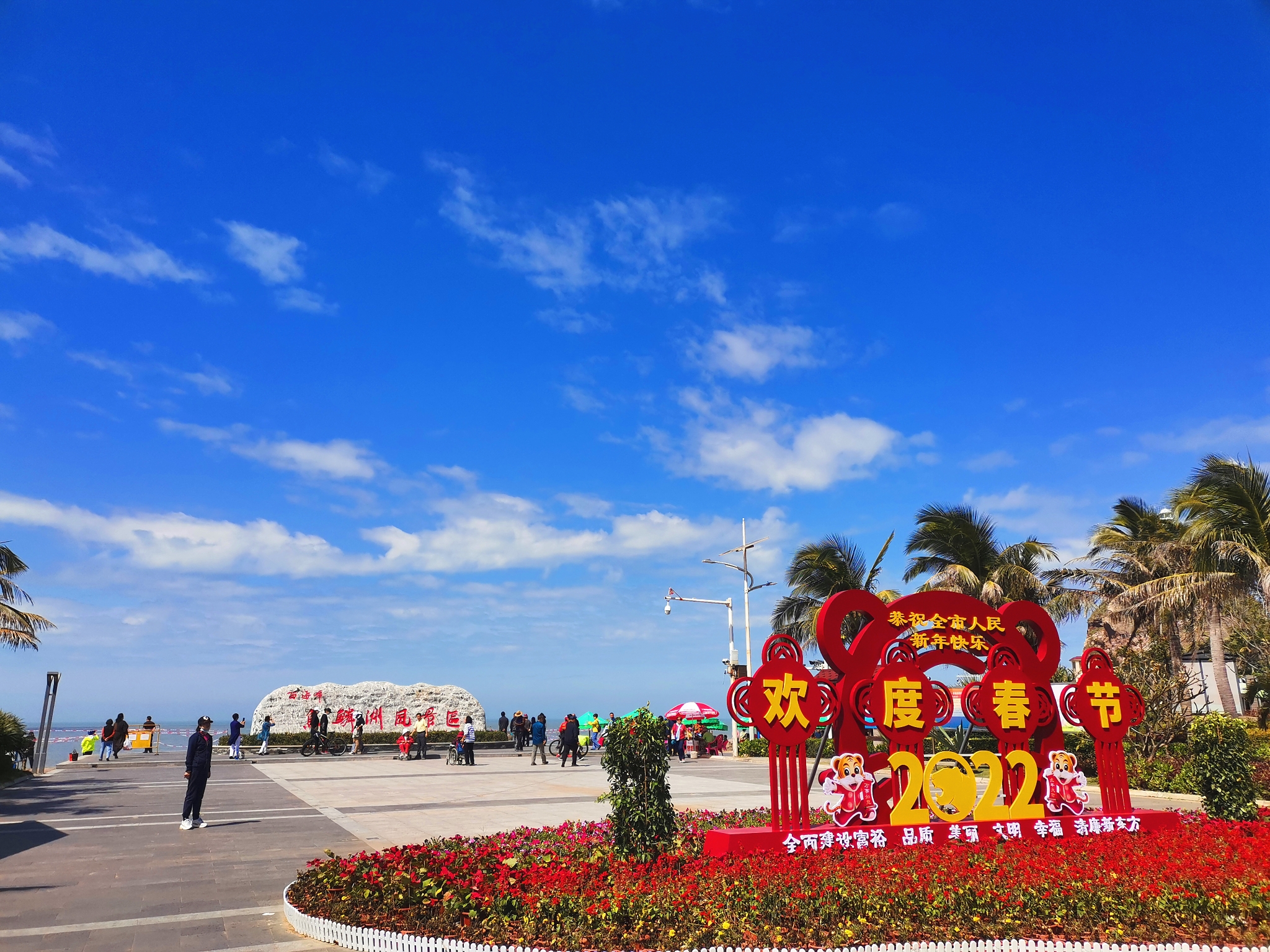 海南東方魚鱗洲今年與去年的變化難道也和東北候鳥有關