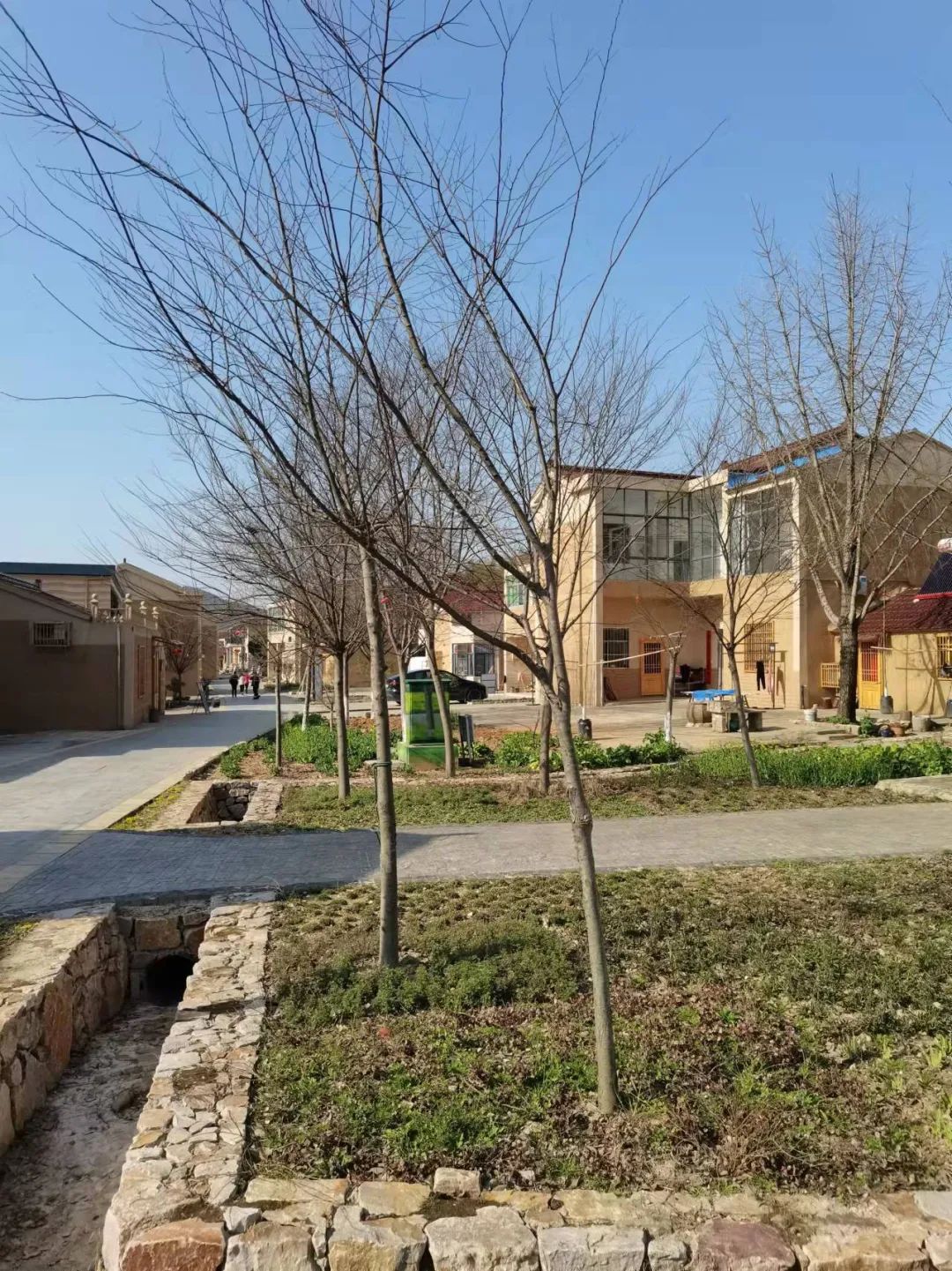 溧阳市社渚镇金山村洑家自然村位于苏皖边界,该自然村也在去年成为