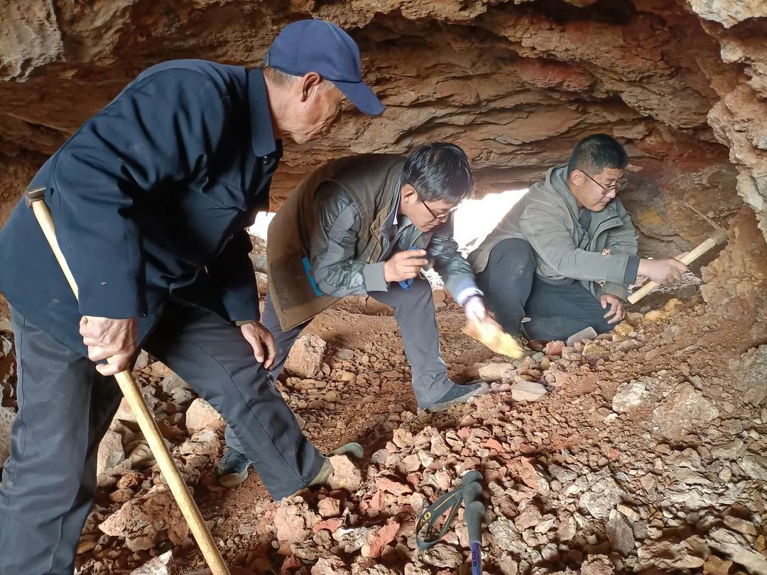 沂水南洼洞遗址