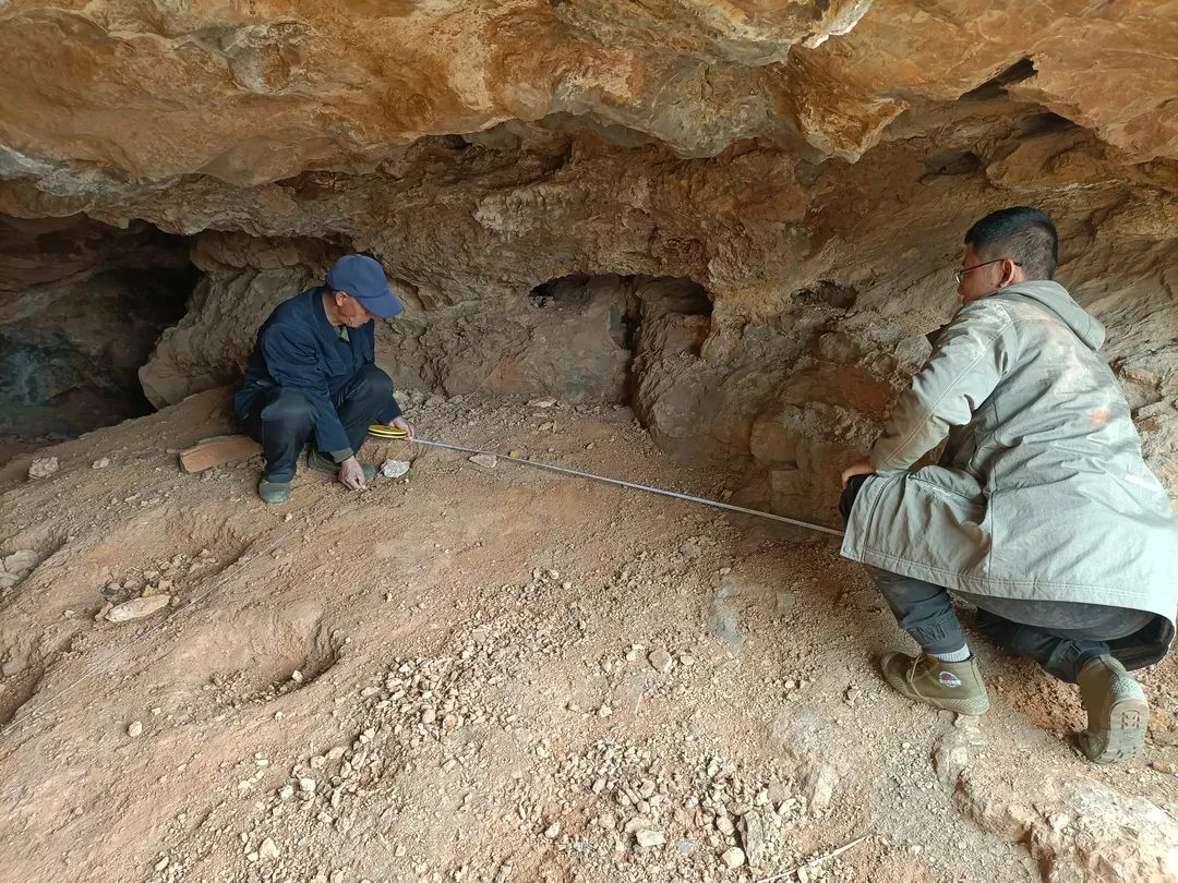 沂水南洼洞遗址
