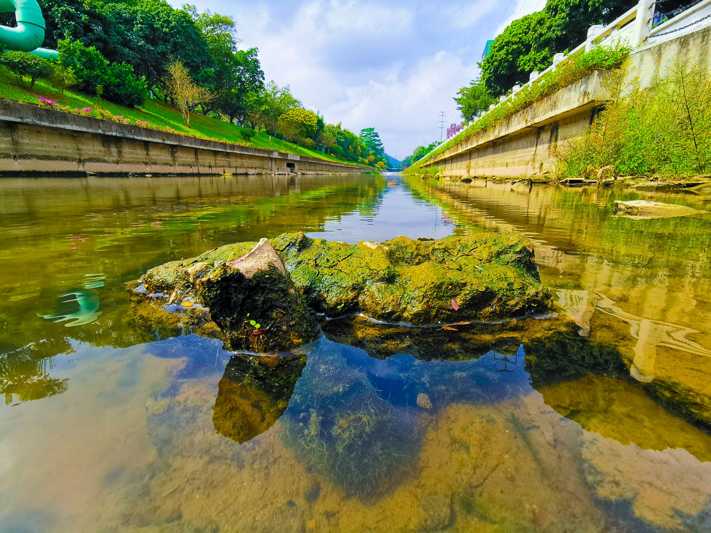 有河有水有鱼有草山水和谐十四五广州水生态保护这么干