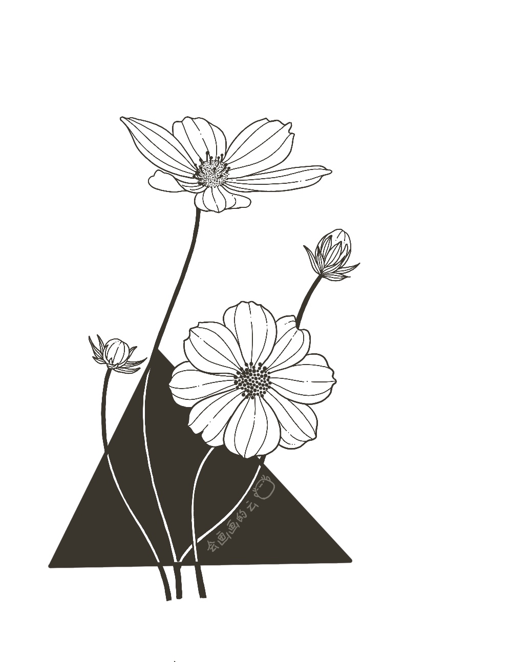 零基础线描教程详细步骤图教你画两朵格桑花