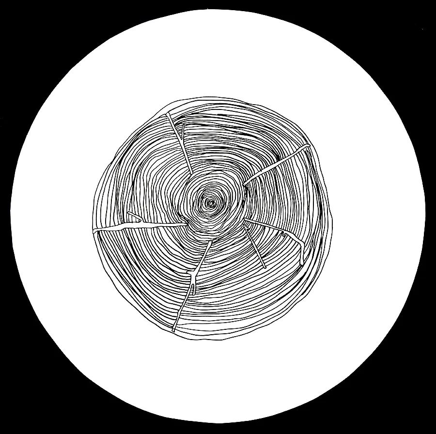 儿童画教程幼儿美术精品课程温暖的鸟窝