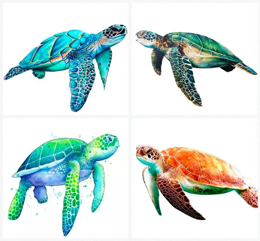 儿童画教程探寻海底世界自由自在的小海龟