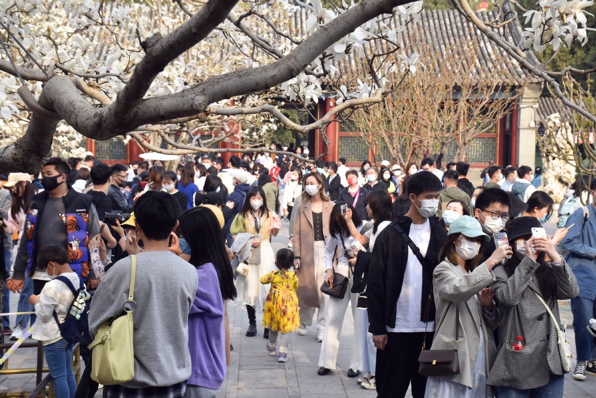 北京四月份的春天颐和园惊现人山人海成为全国游客最多的景区