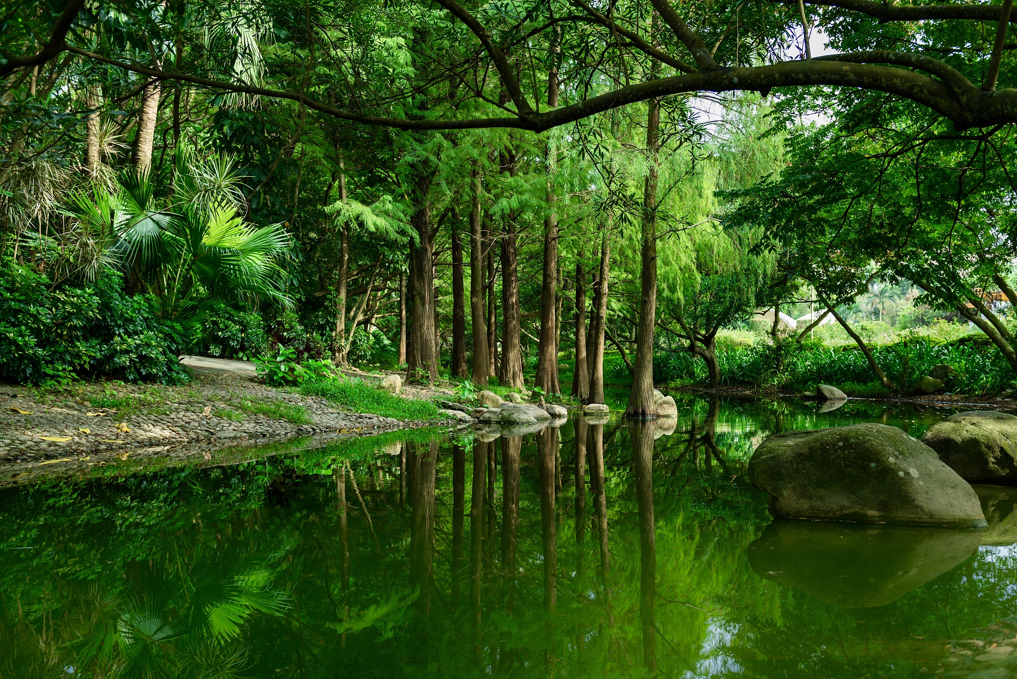 四月踏青季就到长沙这6个好去处收获一份绿意灿烂