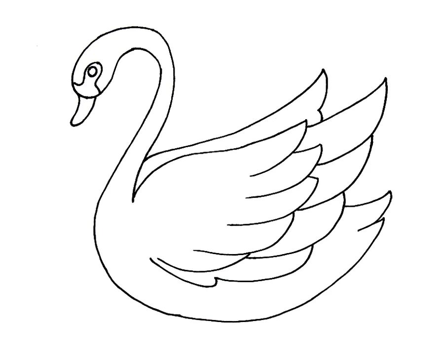 儿童画教程创意线条课程推荐月光下的白天鹅
