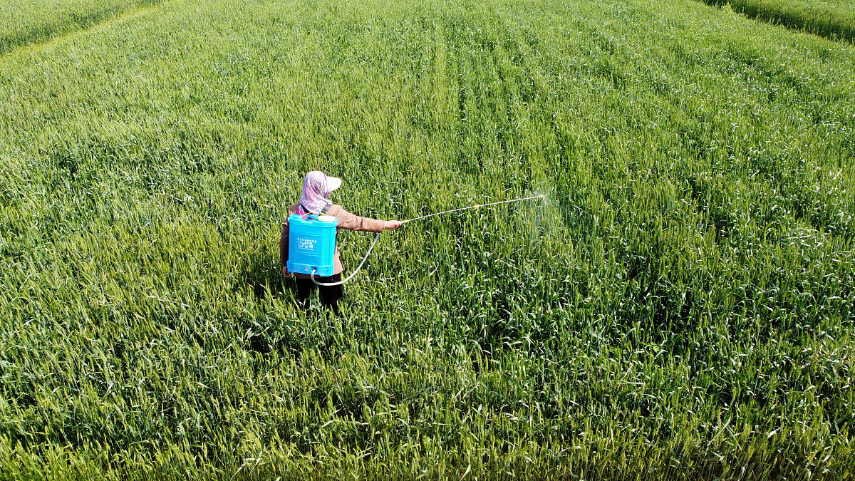 农民常用的5种打药方法浪费了农药钱和人力不说还没啥效果