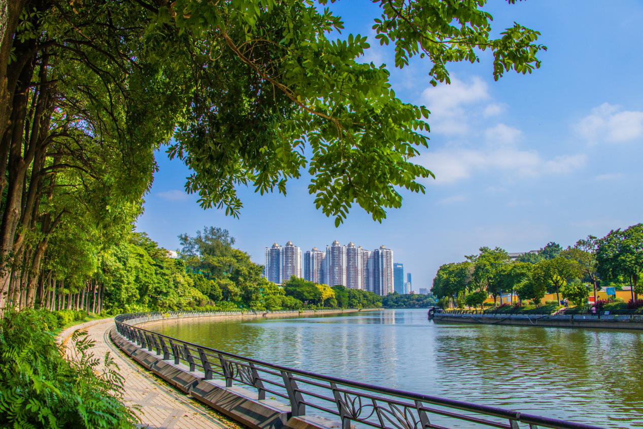 广州主动出击集中整治跨界河涌顽瘴痼疾