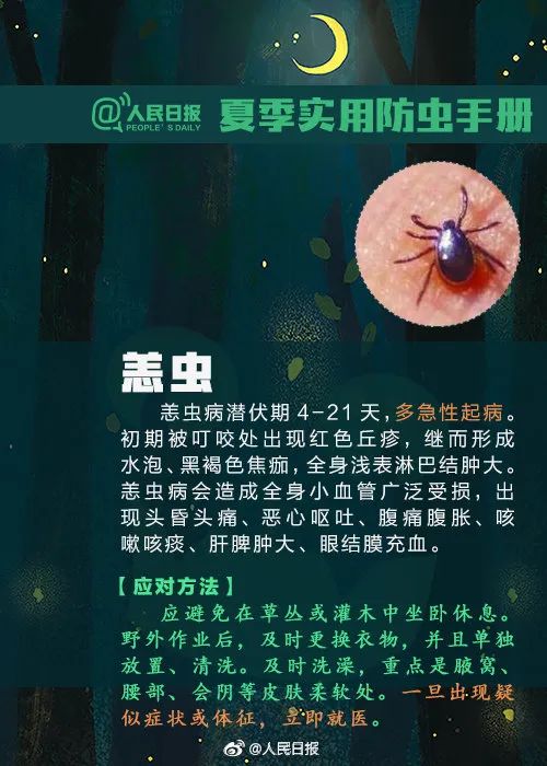 恙虫病治疗图片