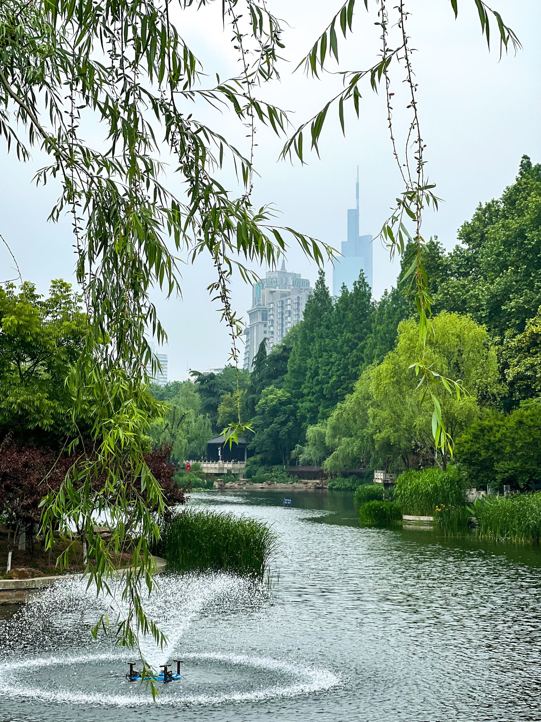 南京小西湖乌龙潭公园被誉为西城之冠亭台楼阁风景如画