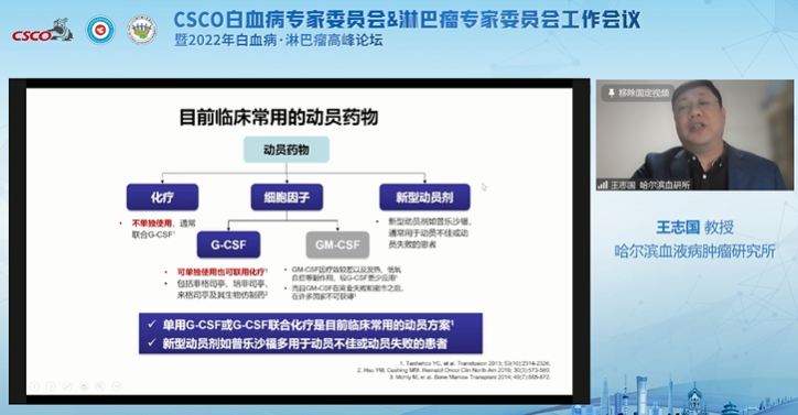 王志国教授作报告