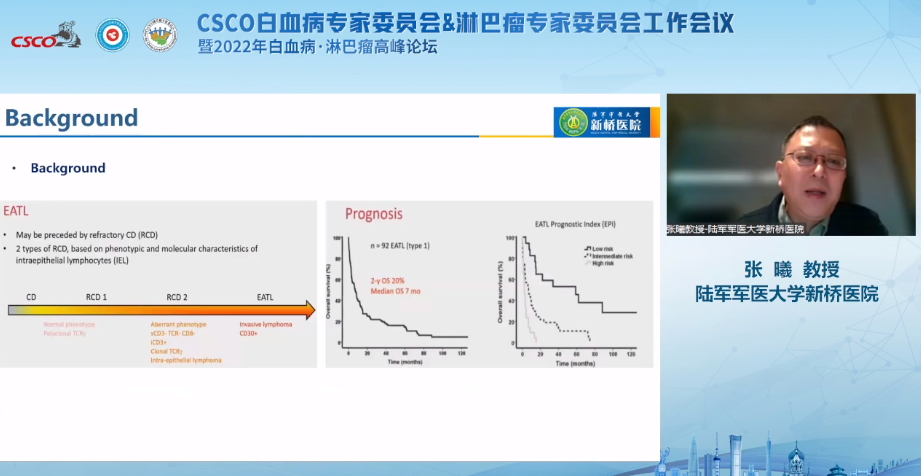 张曦教授作报告
