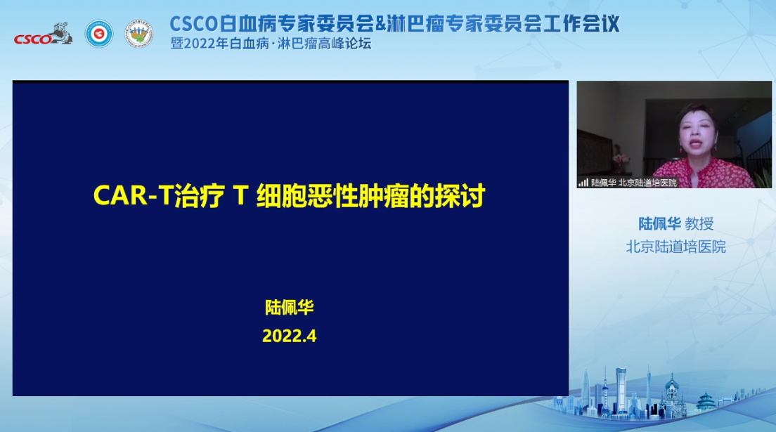陆佩华教授进行学术报告