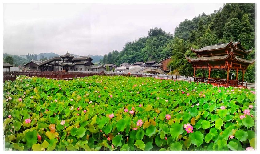 貴州獨山淨心谷景區曾經因為天下第一水司樓爛尾一舉成名