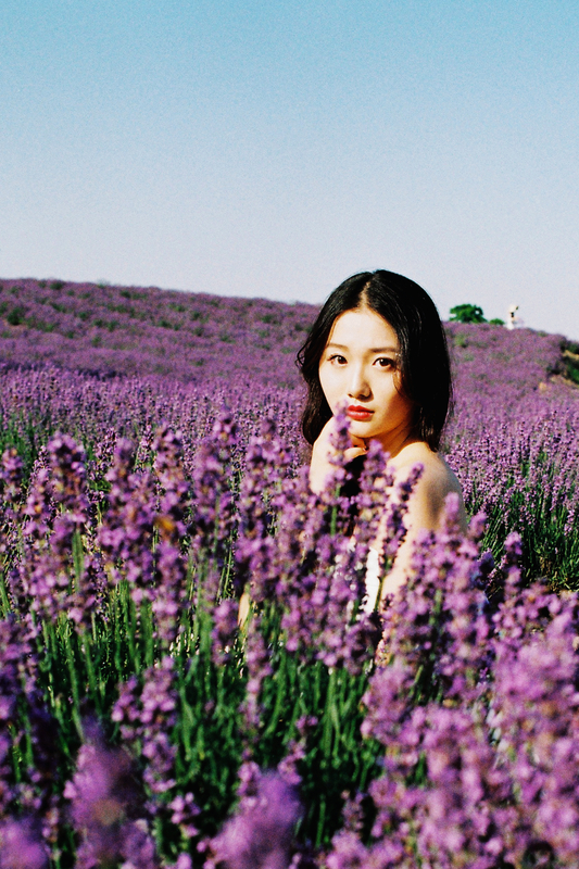 人像摄影集薰衣草人像