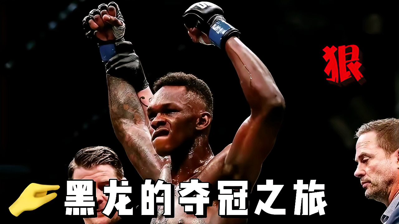 黑龙阿迪萨亚谁能想到武林风走出的王者横扫了ufc