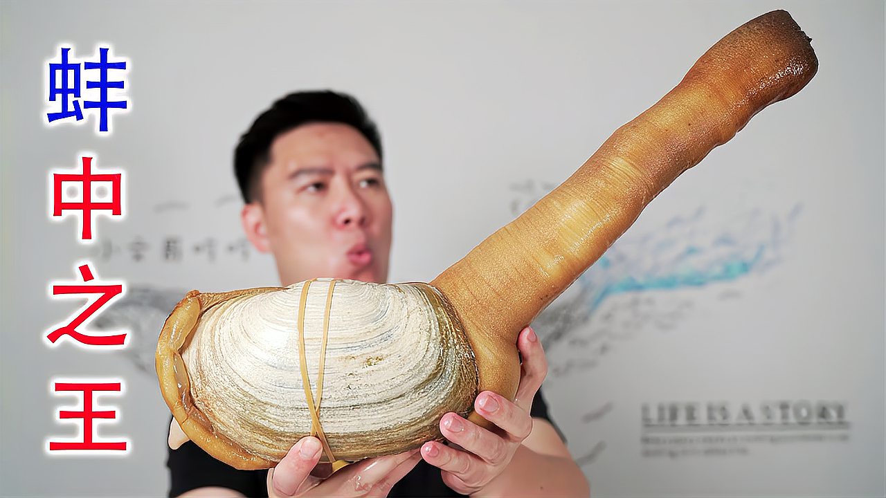 蚌王又来了巨大象拔蚌煮螺蛳粉我破防了