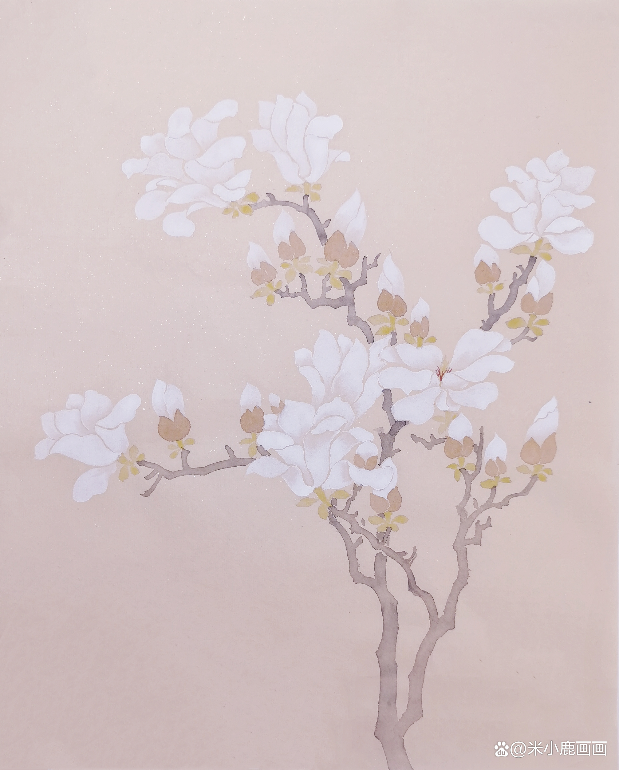 没骨花卉技法入门专栏课徒稿全集