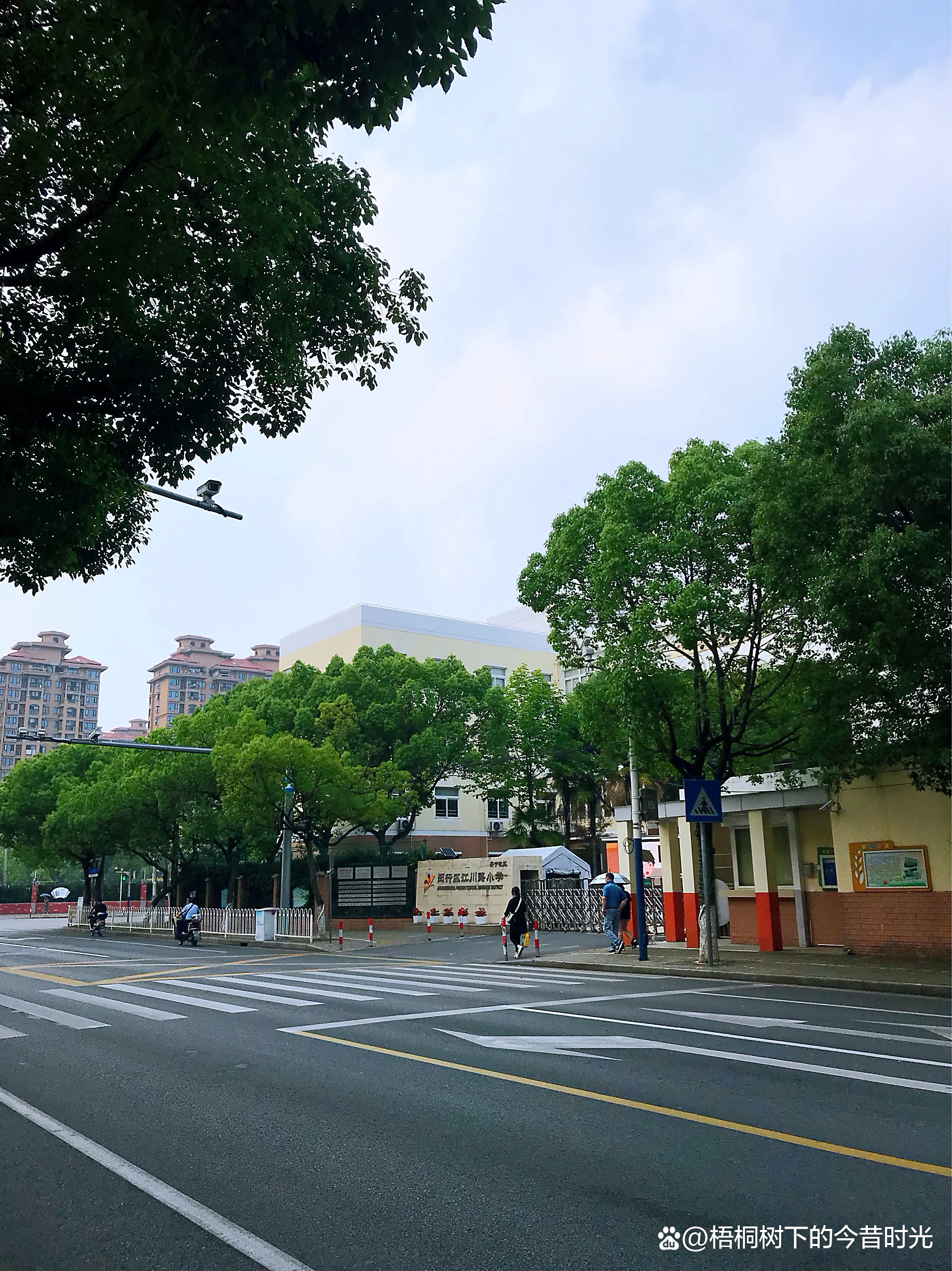 美丽的街景美好的夏天